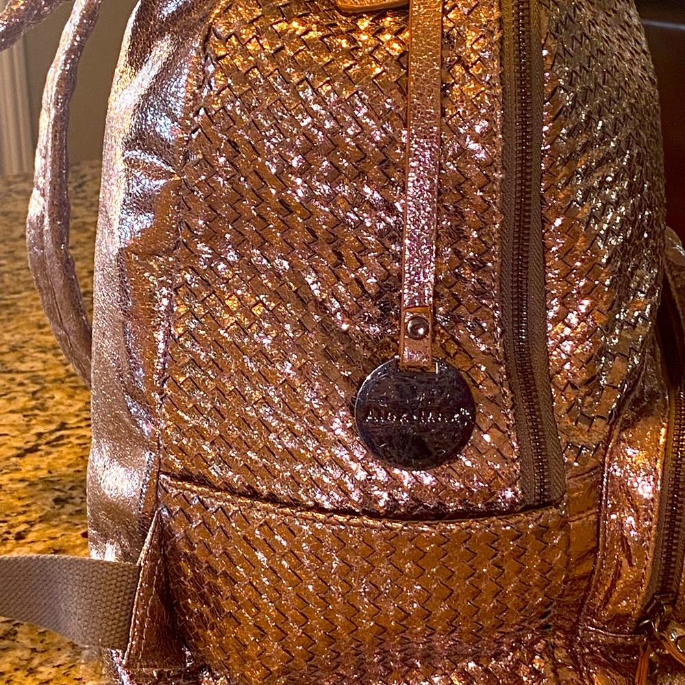 Traveling in style, Alex and Mac sequin backpack